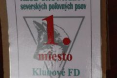 KFD 2024 Antonstál