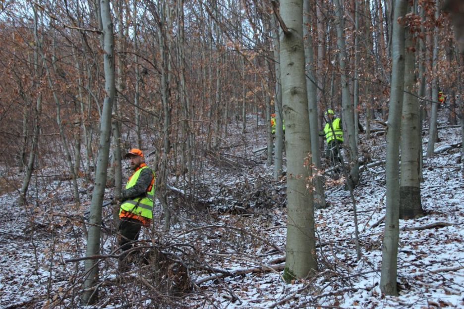 IMG_3466_sm