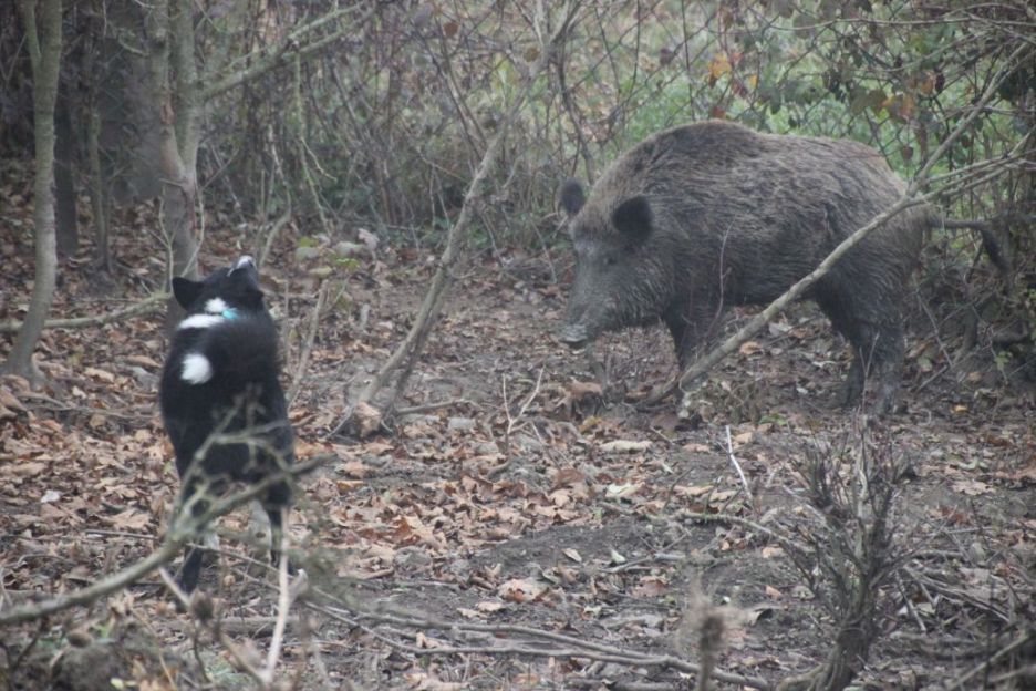 IMG_9765_sm